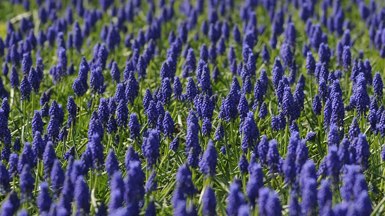Biocarburants : solution pour réduire émissions