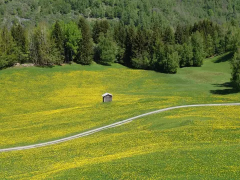 Les biocarburants : une alternative écologique