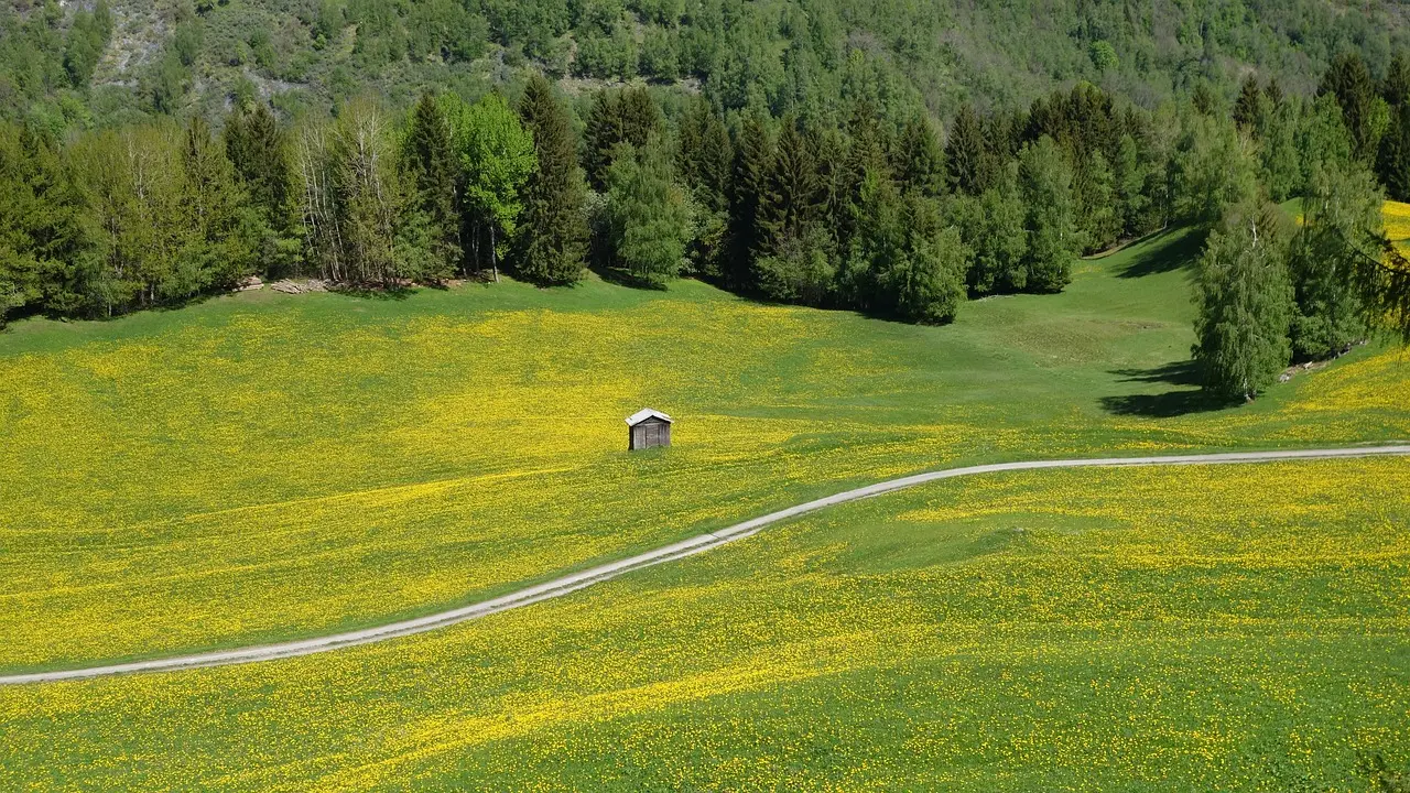 Les biocarburants : une alternative écologique