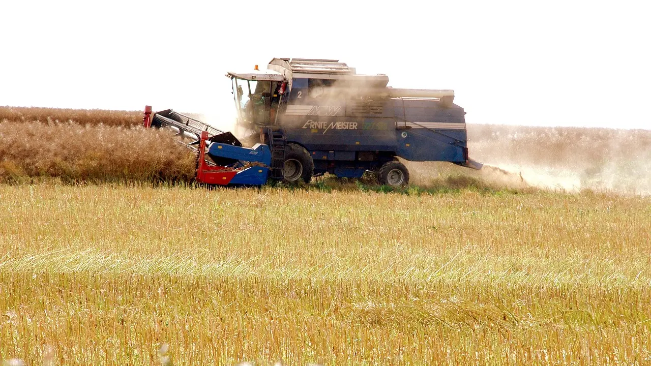 Les biocarburants : une solution écologique