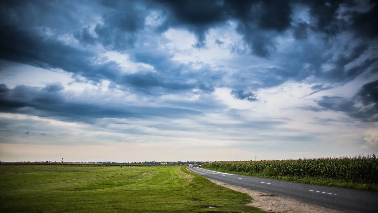 Biocarburants : solution ou problème environnemental ?