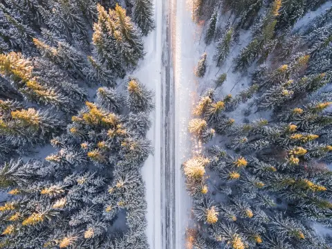 Biocarburants et électricité : une synergie prometteuse