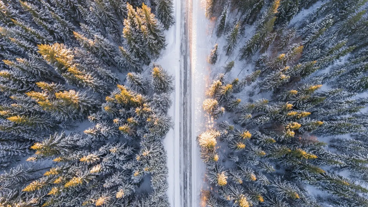 Biocarburants et électricité : une synergie prometteuse