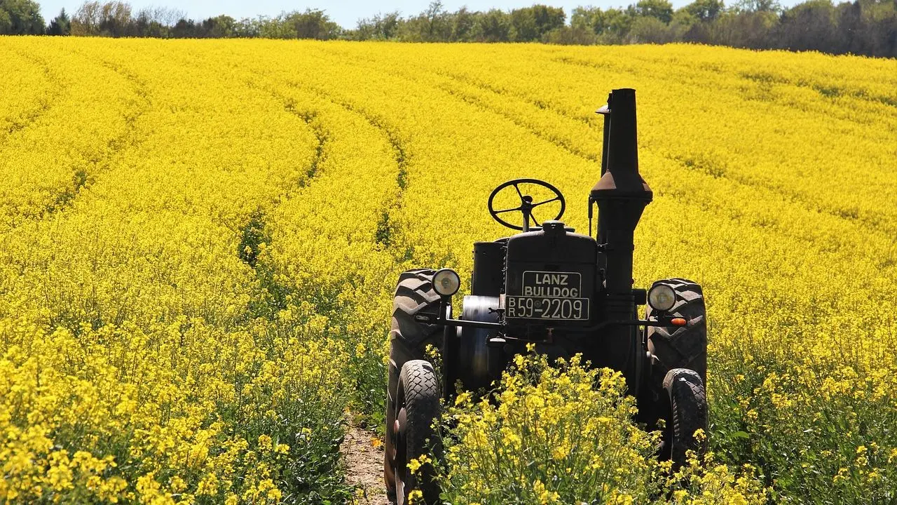 Biocarburants : avantages et inconvénients décryptés