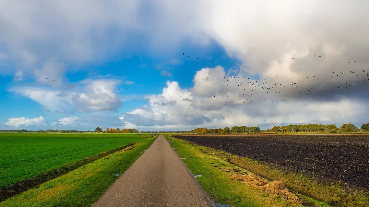 Le bioéthanol : énergie verte renouvelable.