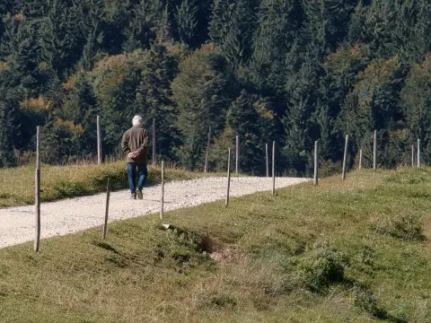 Subaru : une légende du rallye