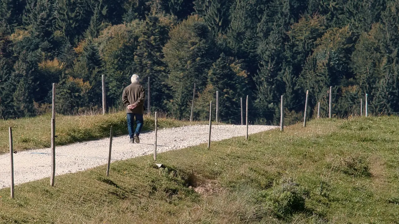 Subaru : une légende du rallye