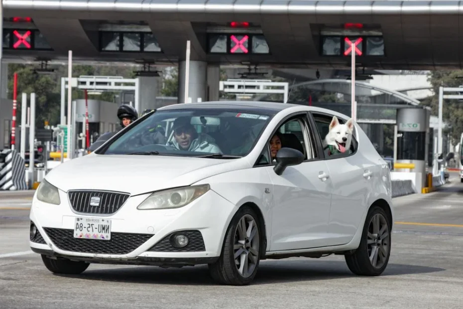 Conducteur regardant son permis de conduire après un retrait de points