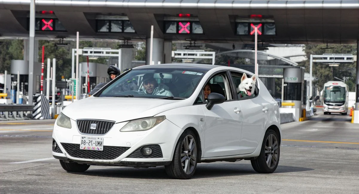 Conducteur regardant son permis de conduire après un retrait de points